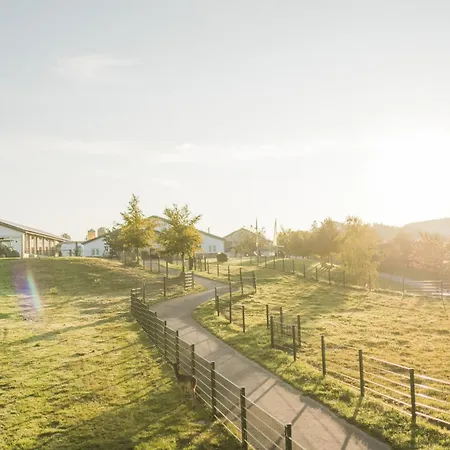 Hof Köhne- Haus Am Spielplatz - Strauß Schmallenberg