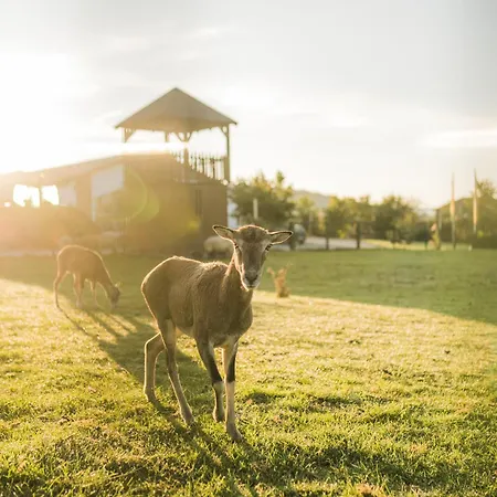 Hof Koehne- Haus Am Spielplatz - Strauss 公寓 *
