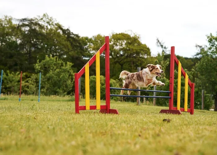 Hof Koehne- Haus Am Spielplatz - Strauss Schmallenberg
