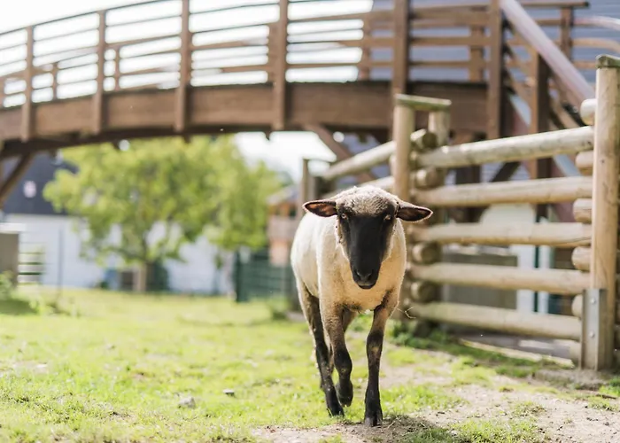 Apartment Hof Koehne- Haus Am Spielplatz - Strauss *