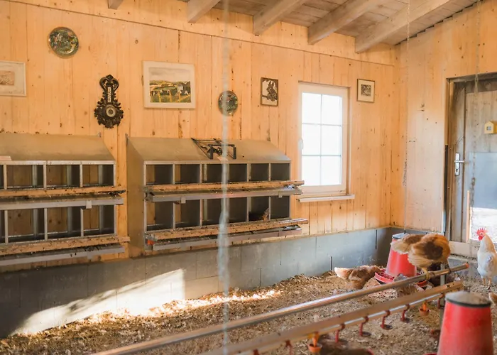 Apartment Hof Koehne- Haus Am Spielplatz - Strauss
