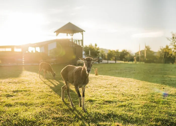 Hof Koehne- Haus Am Spielplatz - Strauss Apartment *